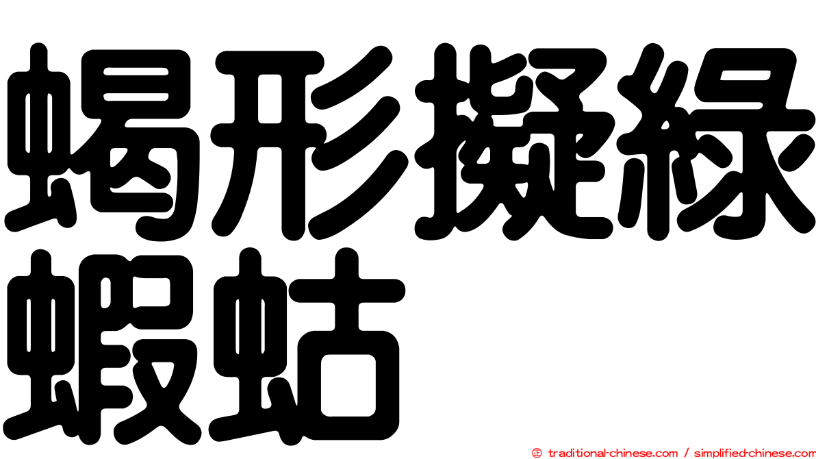 蝎形擬綠蝦蛄