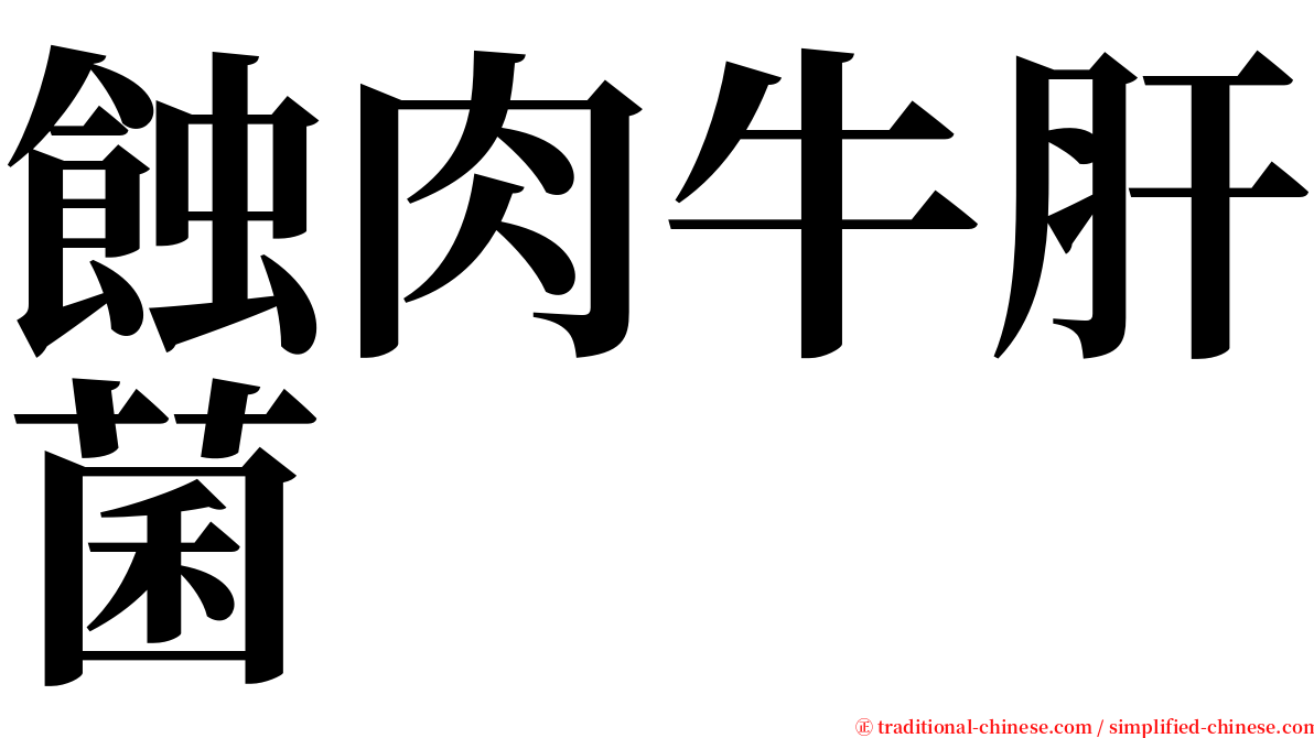 蝕肉牛肝菌 serif font