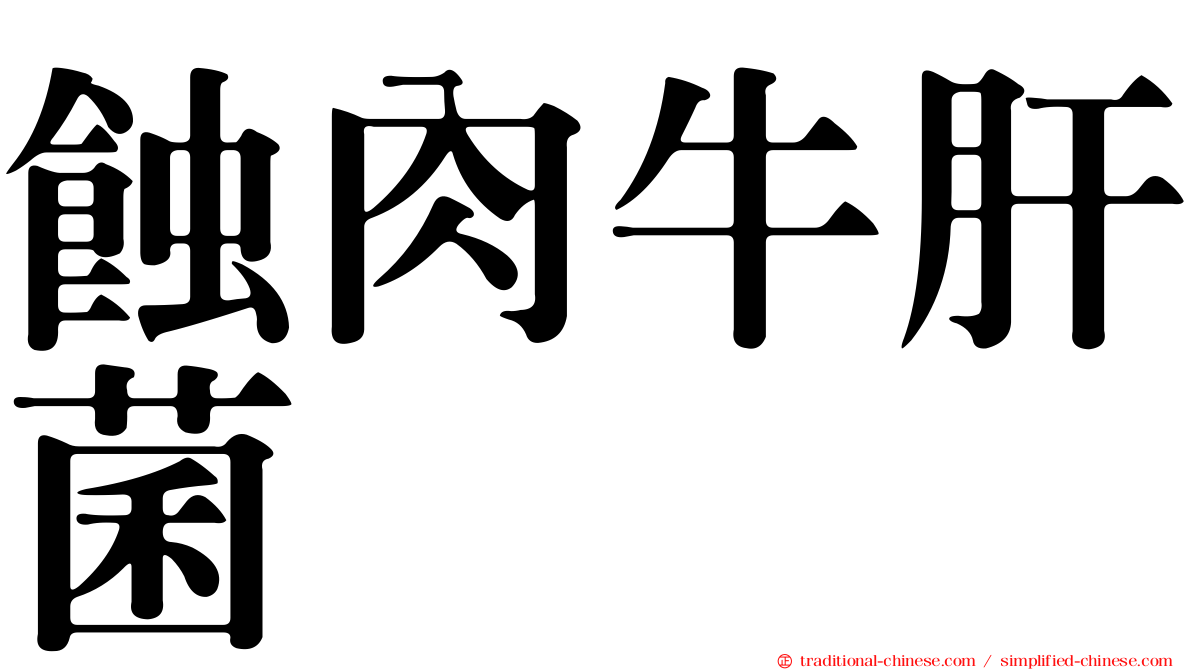 蝕肉牛肝菌