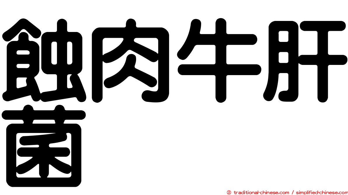 蝕肉牛肝菌