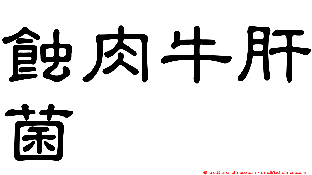 蝕肉牛肝菌