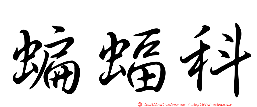 蝙蝠科