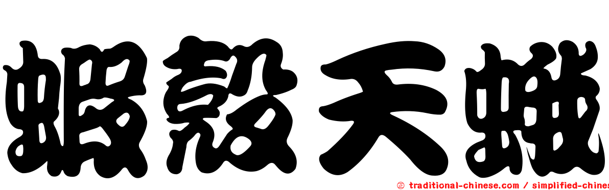 蝦殼天蛾
