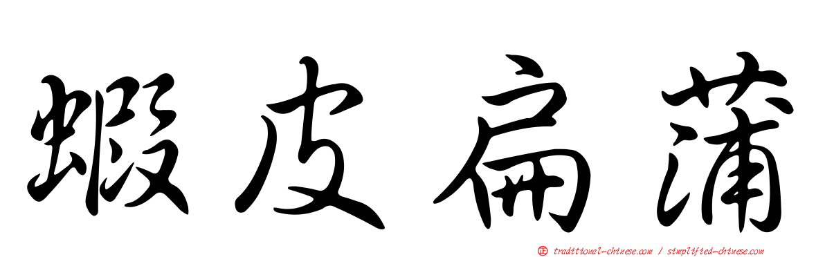 蝦皮扁蒲