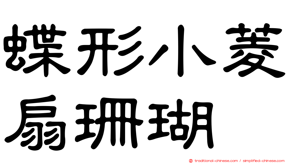 蝶形小菱扇珊瑚