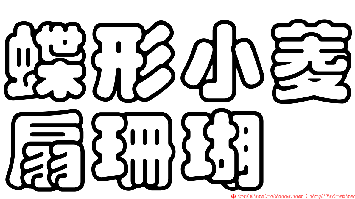蝶形小菱扇珊瑚