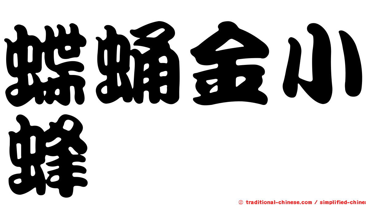 蝶蛹金小蜂