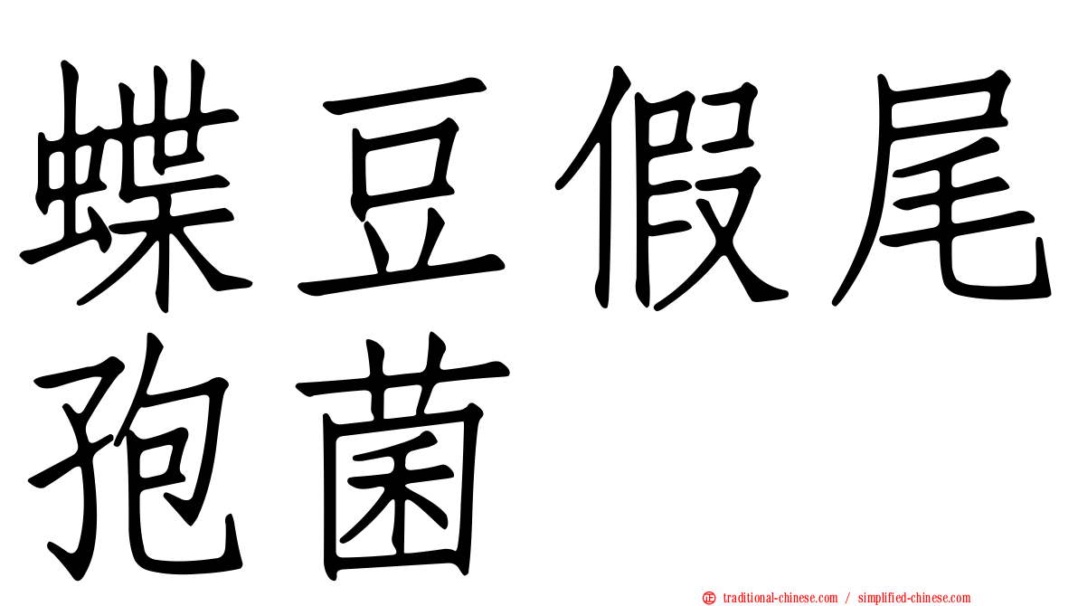 蝶豆假尾孢菌