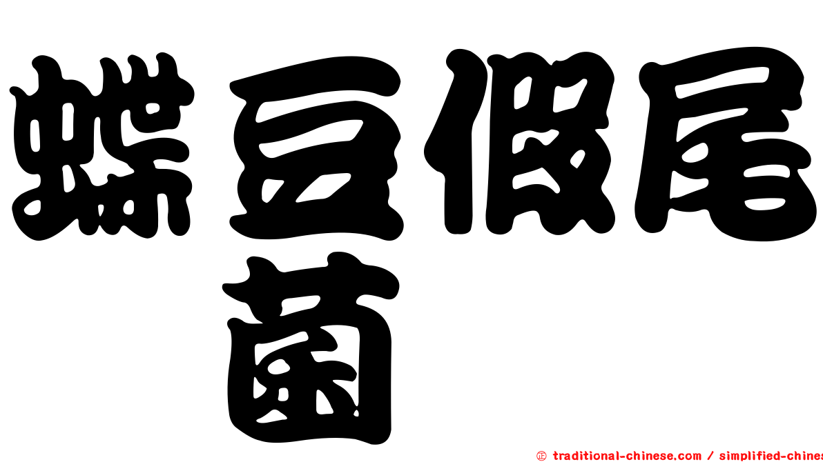 蝶豆假尾孢菌