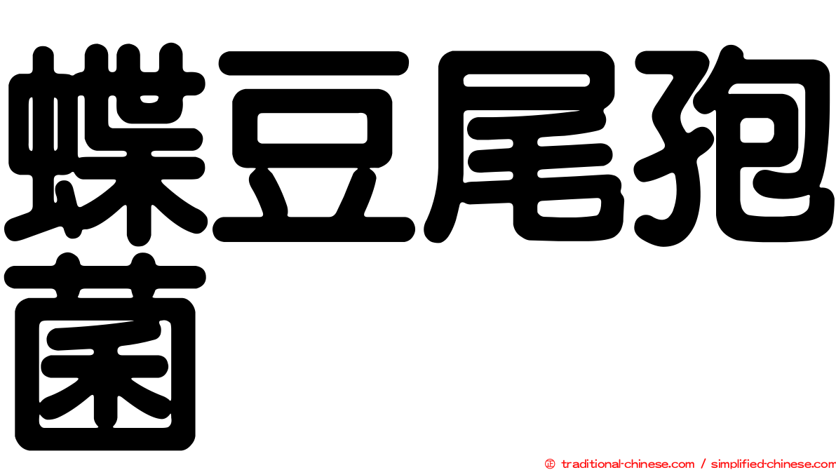 蝶豆尾孢菌