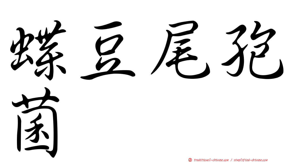 蝶豆尾孢菌