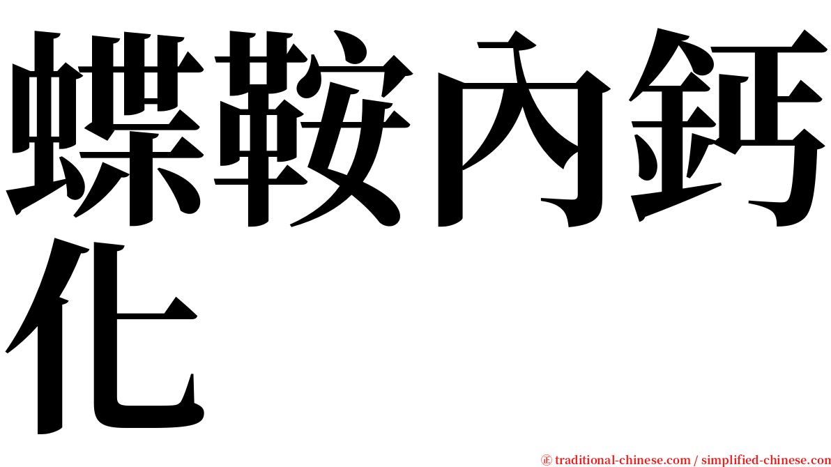 蝶鞍內鈣化 serif font