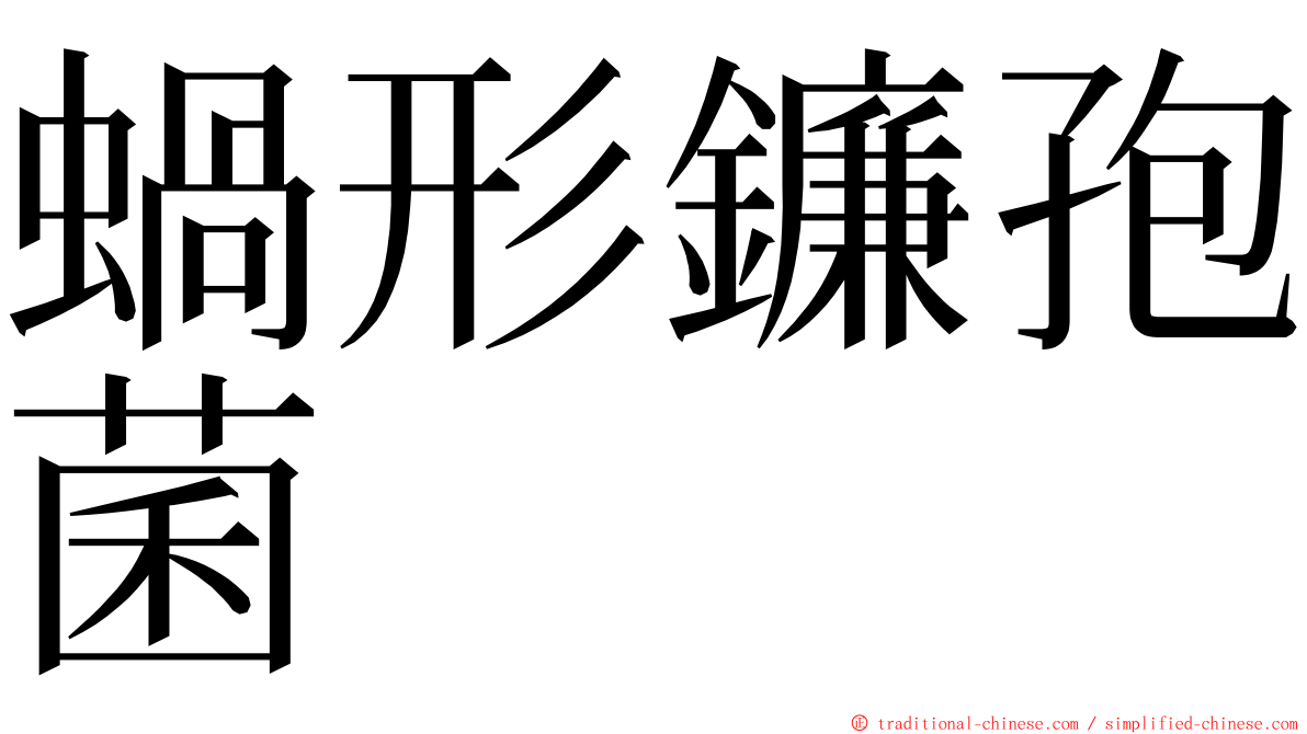 蝸形鐮孢菌 ming font