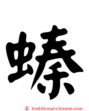 螓