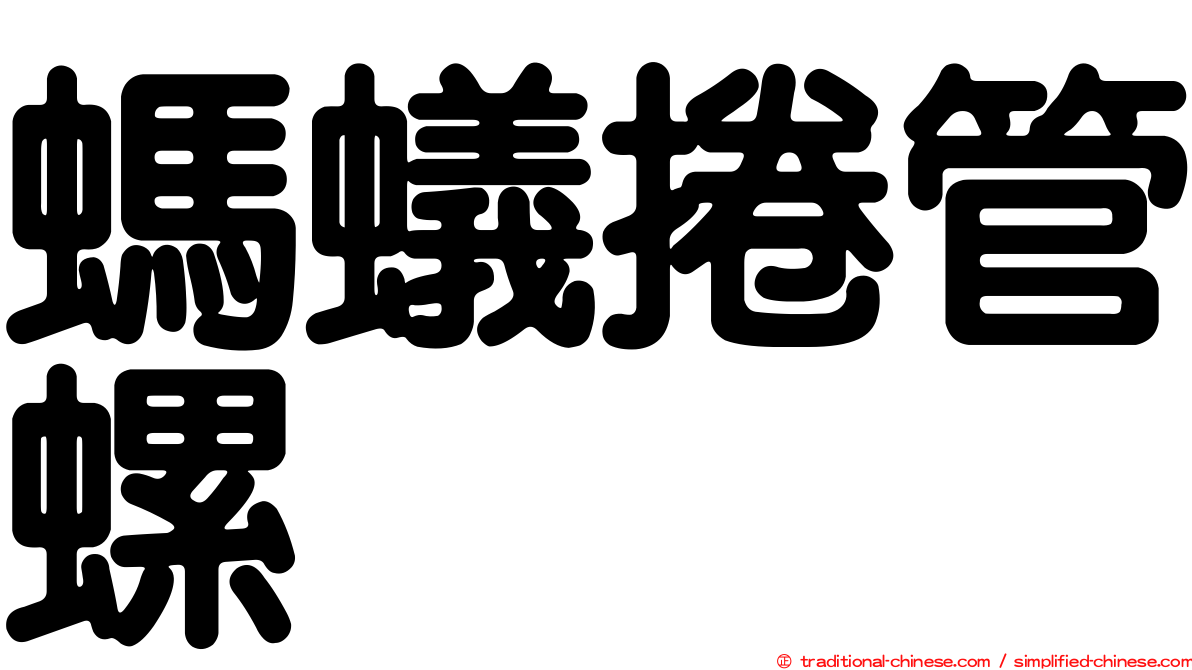 螞蟻捲管螺