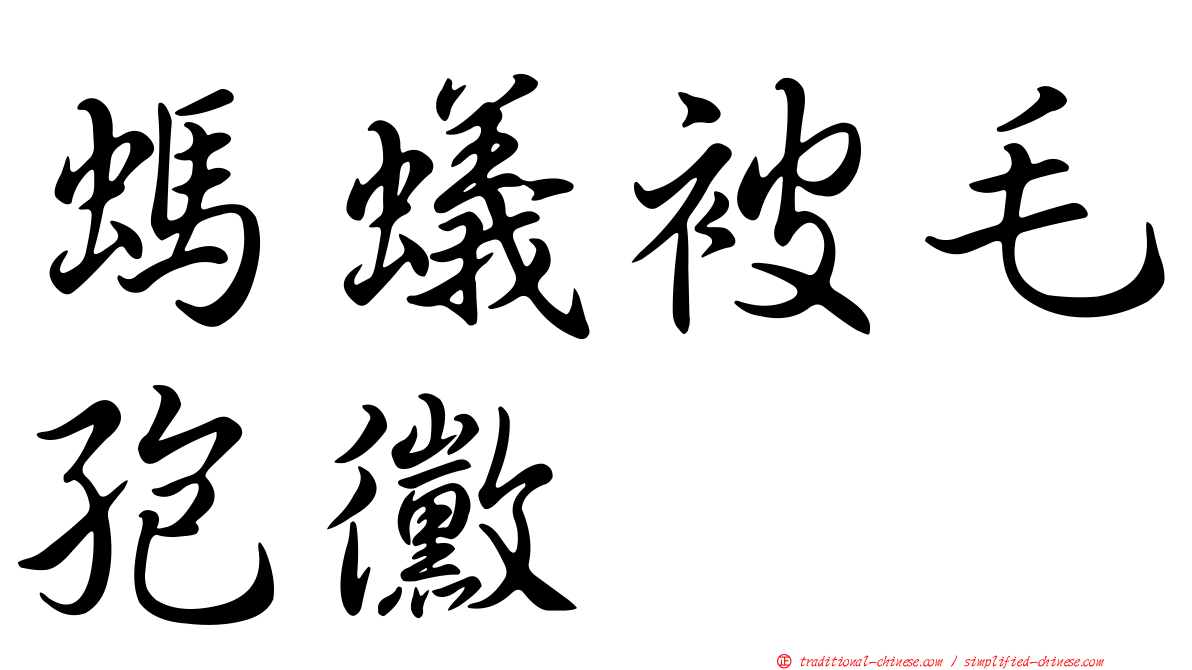 螞蟻被毛孢黴