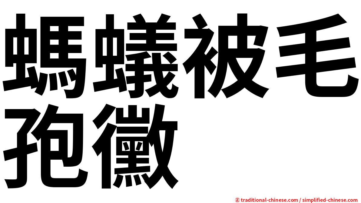 螞蟻被毛孢黴