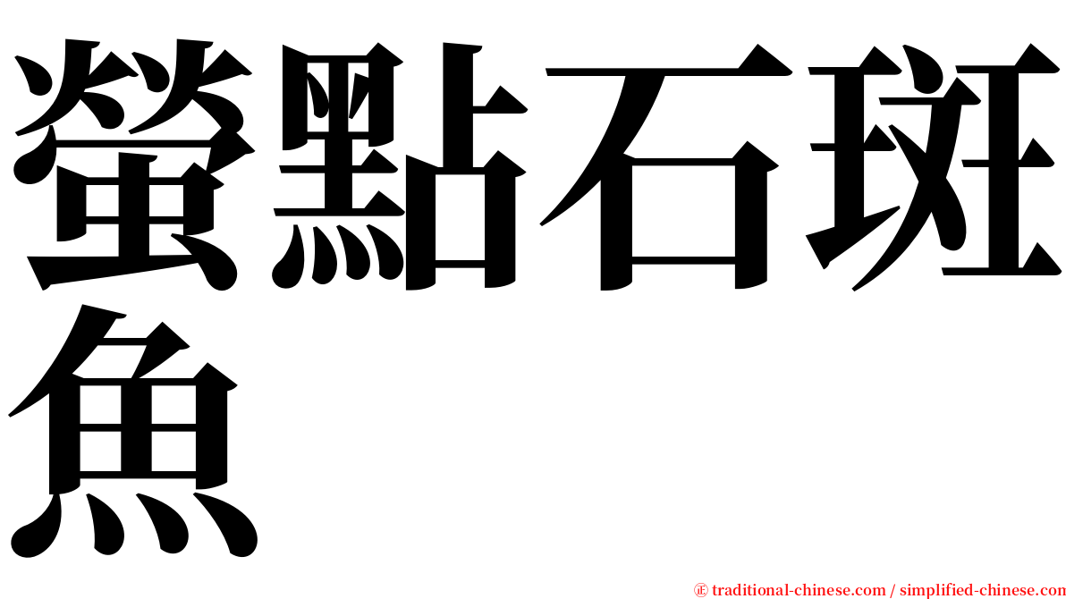 螢點石斑魚 serif font