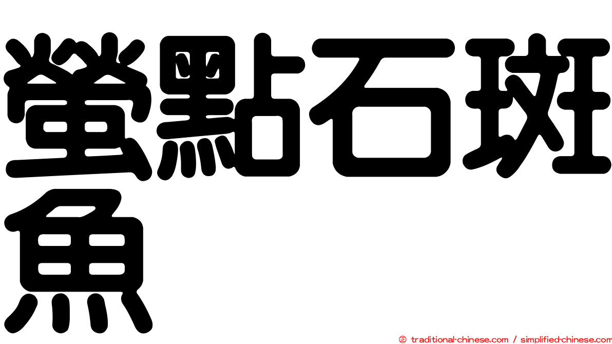 螢點石斑魚