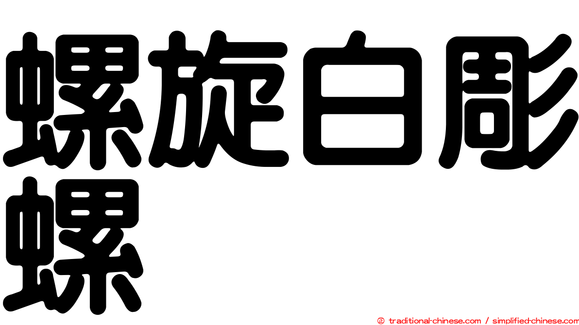 螺旋白彫螺