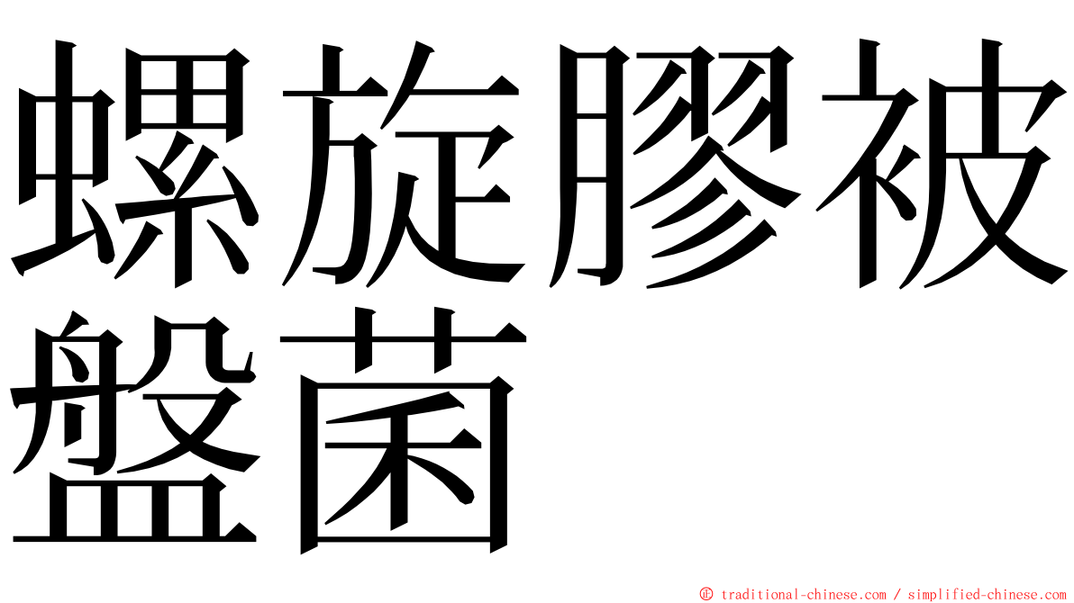 螺旋膠被盤菌 ming font