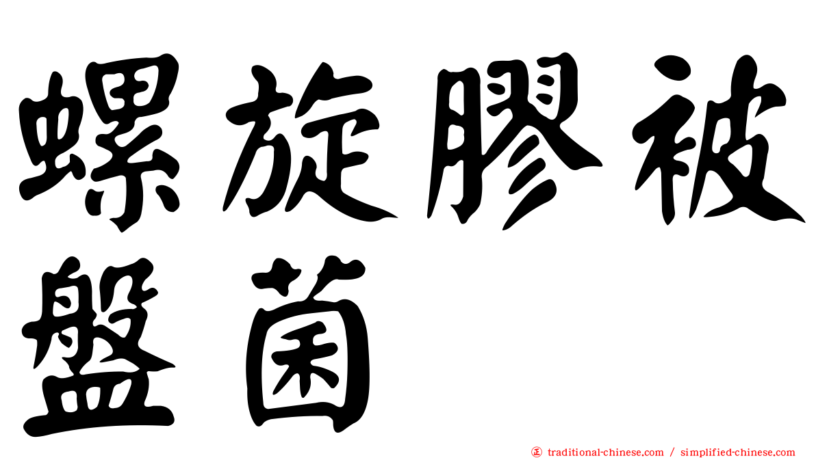 螺旋膠被盤菌
