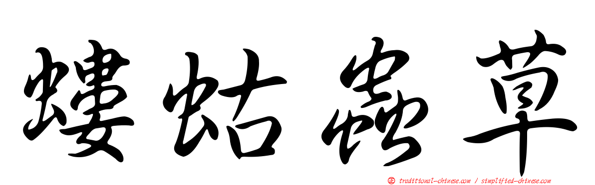 螻蛄蟲草
