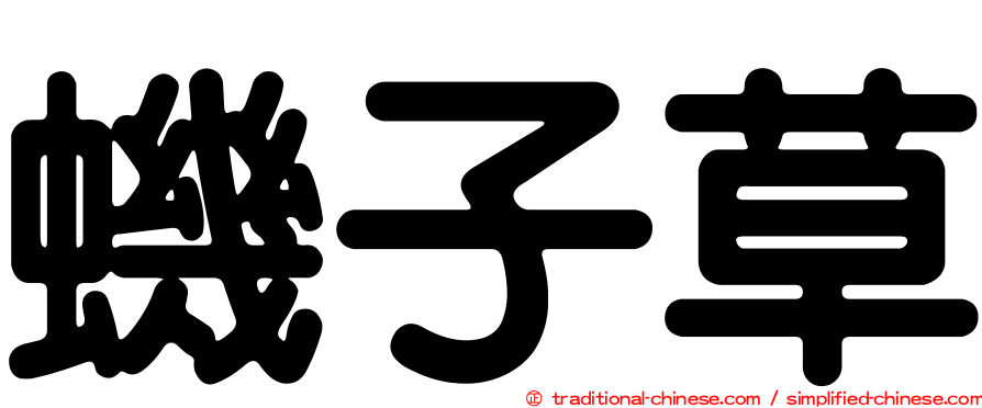 蟣子草