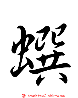 蟤