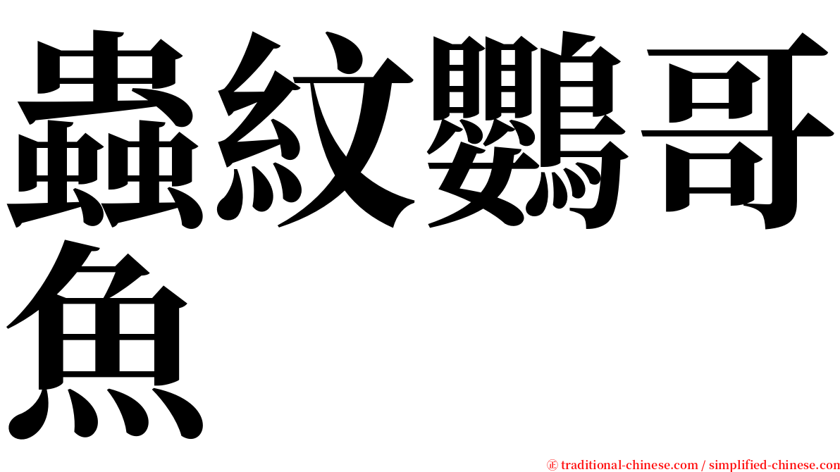 蟲紋鸚哥魚 serif font