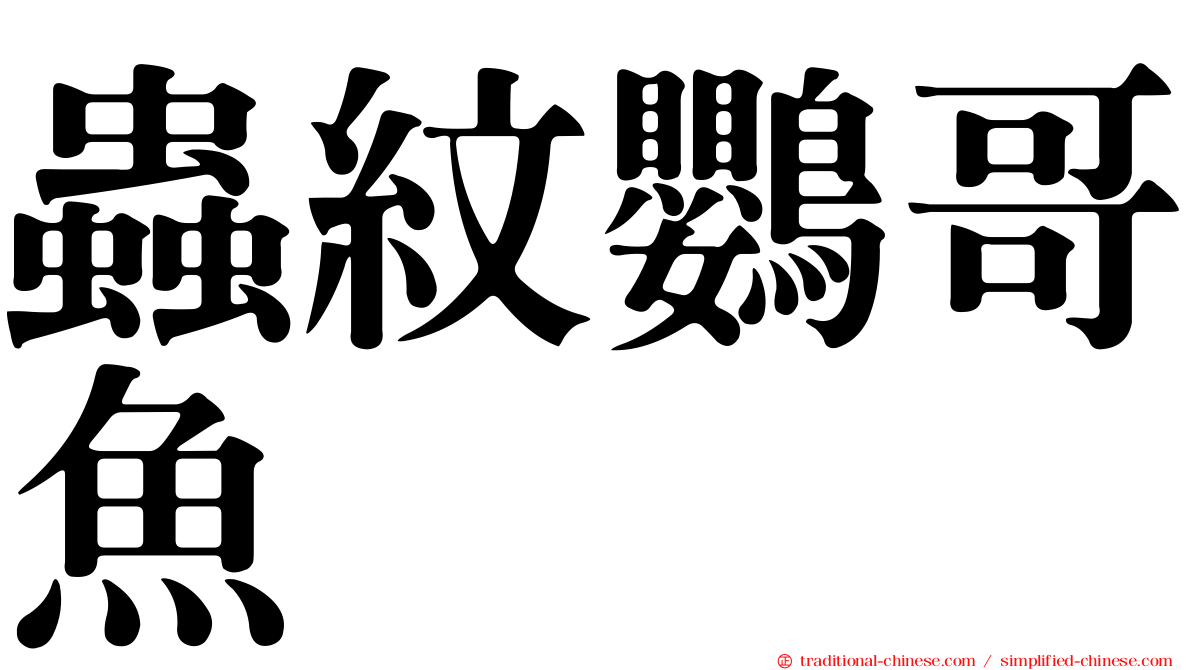 蟲紋鸚哥魚