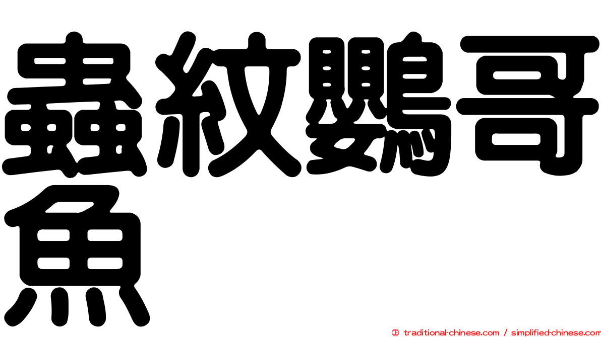 蟲紋鸚哥魚