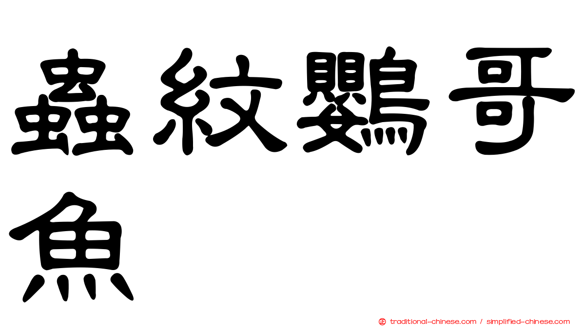 蟲紋鸚哥魚