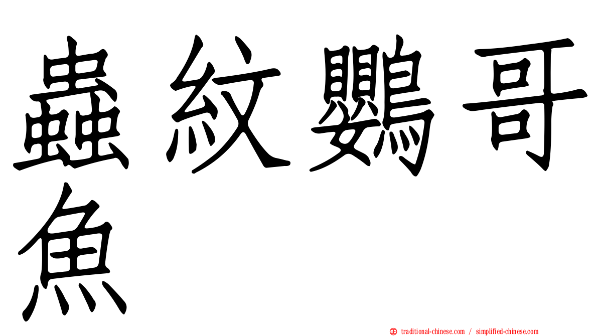 蟲紋鸚哥魚
