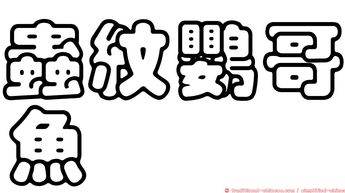 蟲紋鸚哥魚