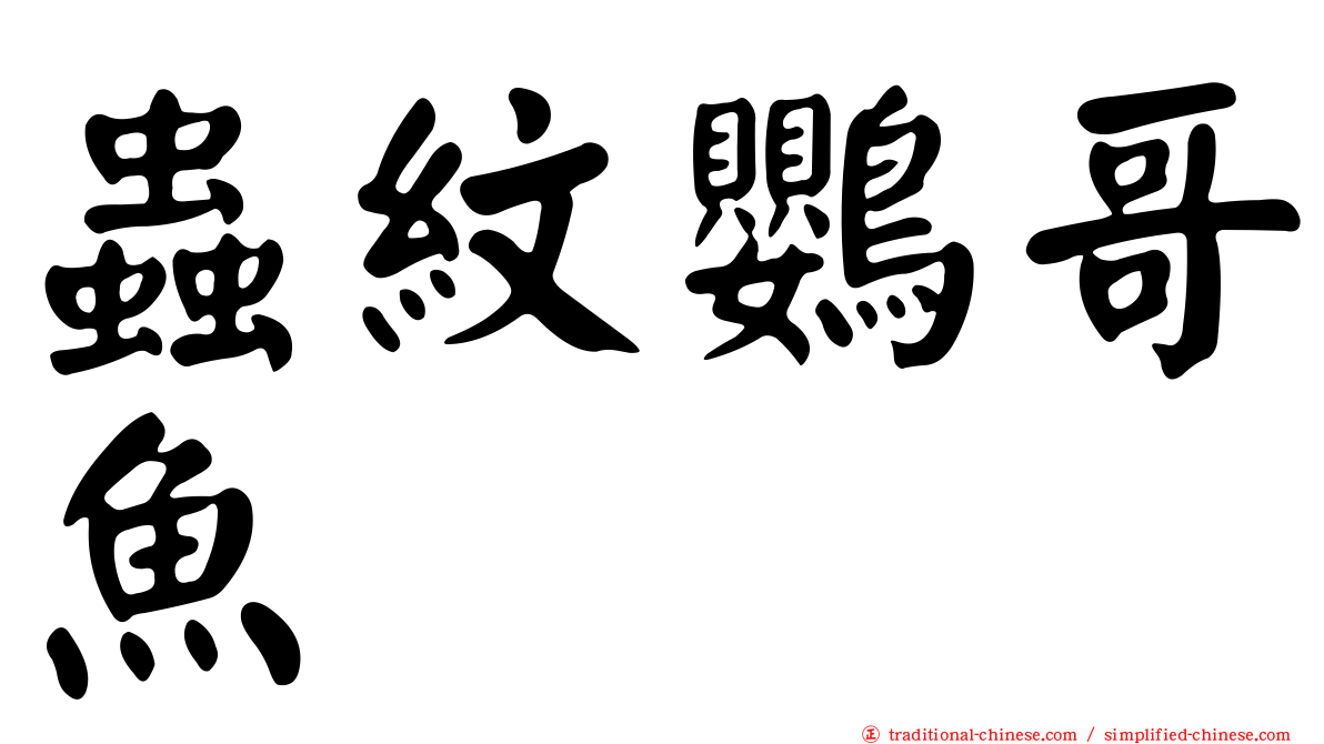 蟲紋鸚哥魚
