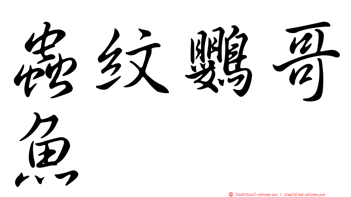 蟲紋鸚哥魚