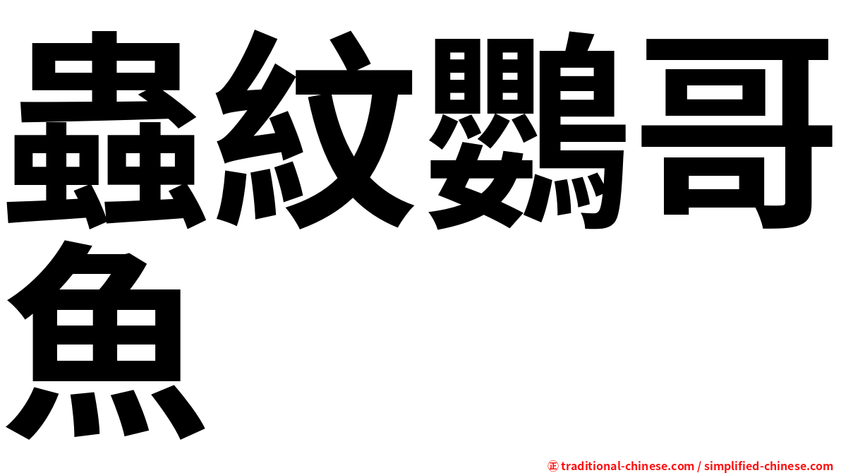 蟲紋鸚哥魚