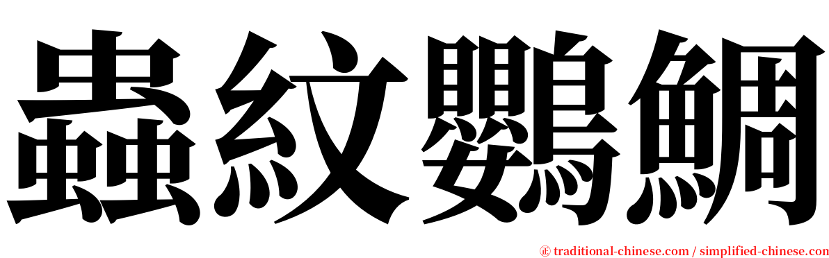蟲紋鸚鯛 serif font