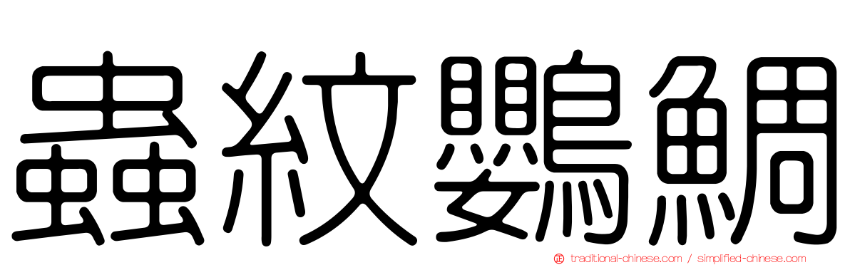 蟲紋鸚鯛
