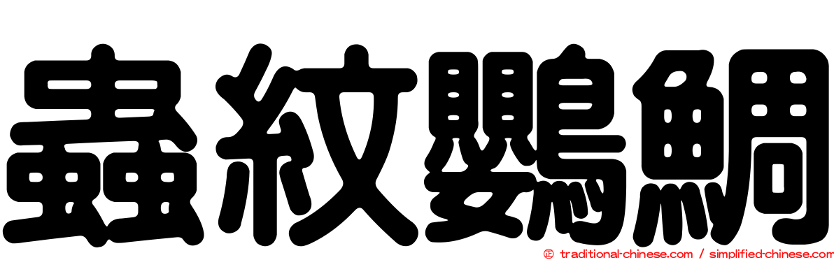 蟲紋鸚鯛