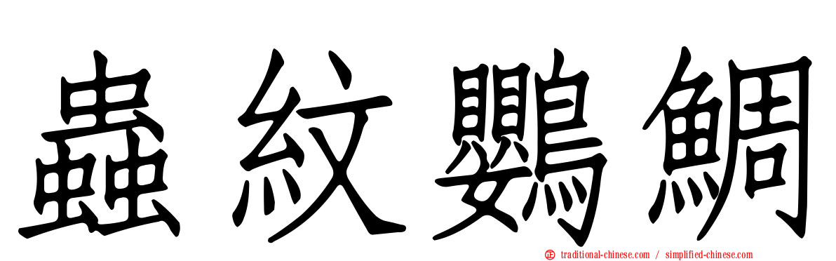 蟲紋鸚鯛