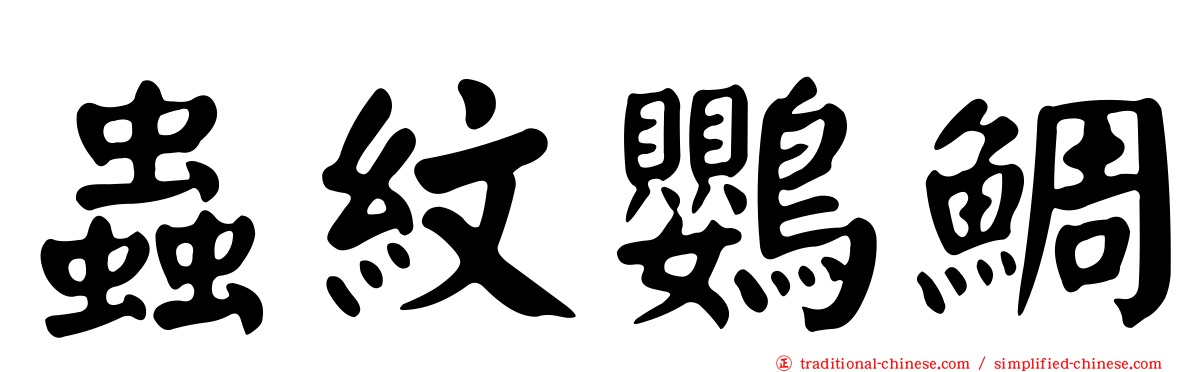 蟲紋鸚鯛