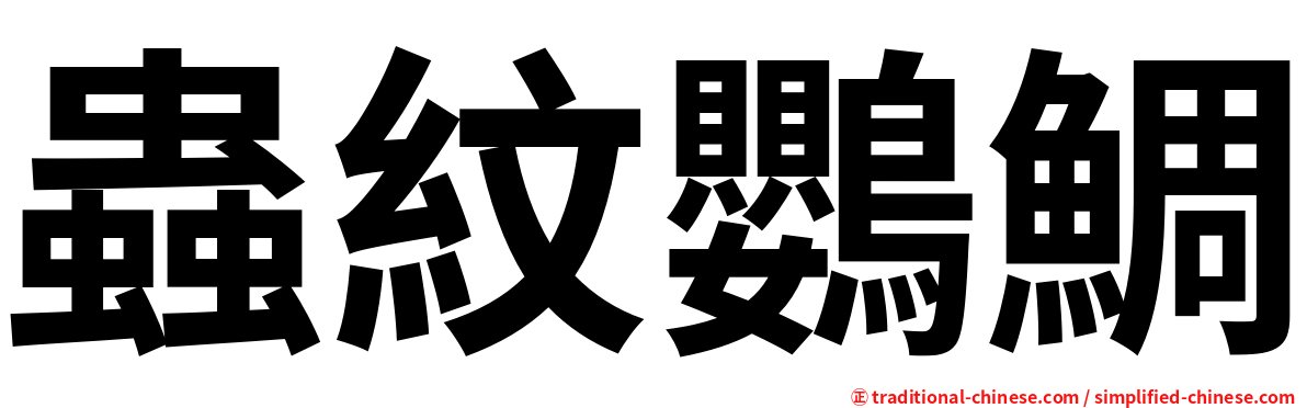 蟲紋鸚鯛