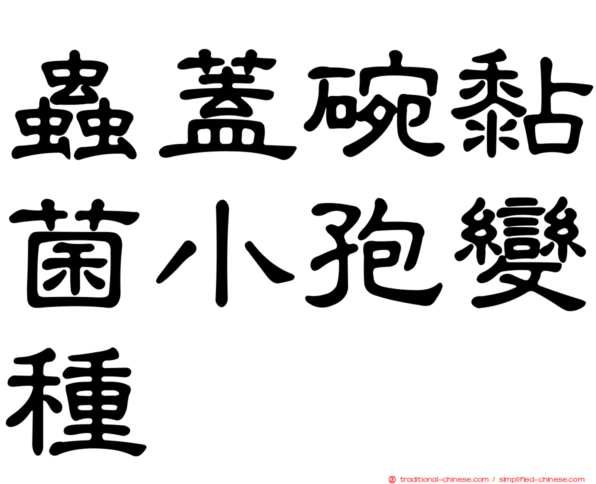 蟲蓋碗黏菌小孢變種
