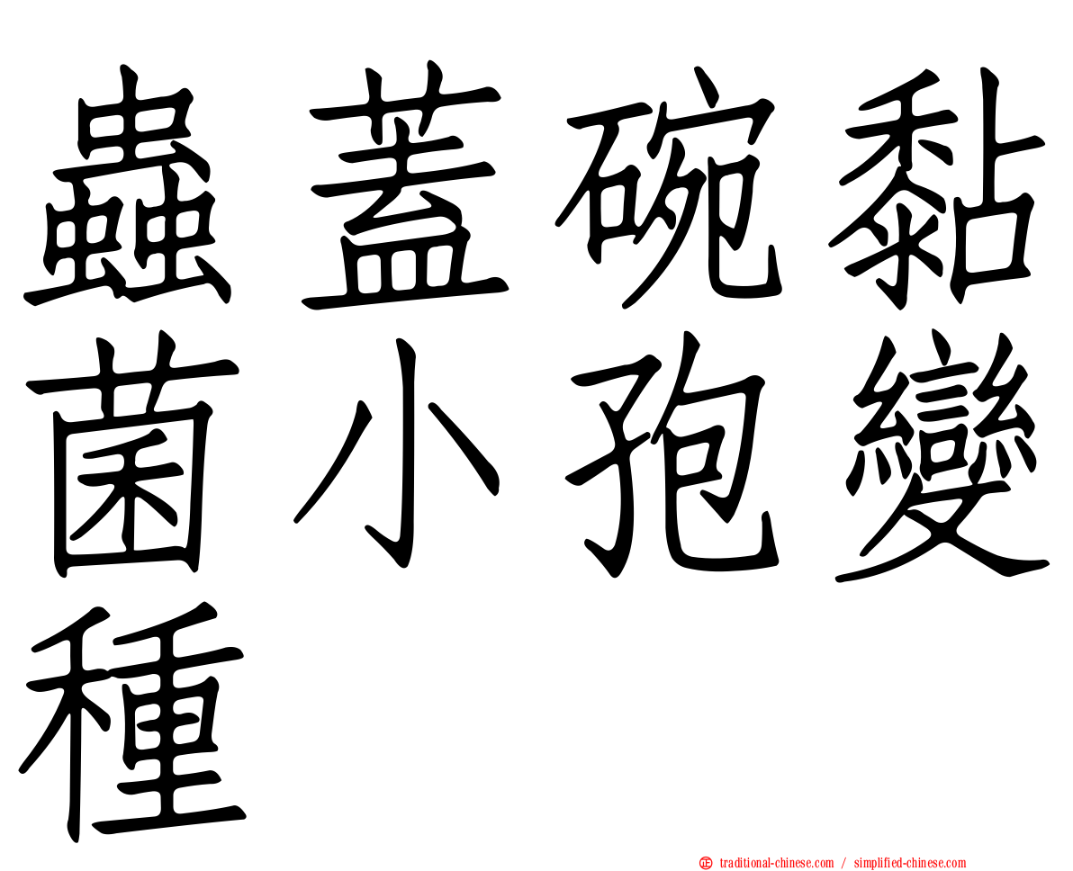 蟲蓋碗黏菌小孢變種