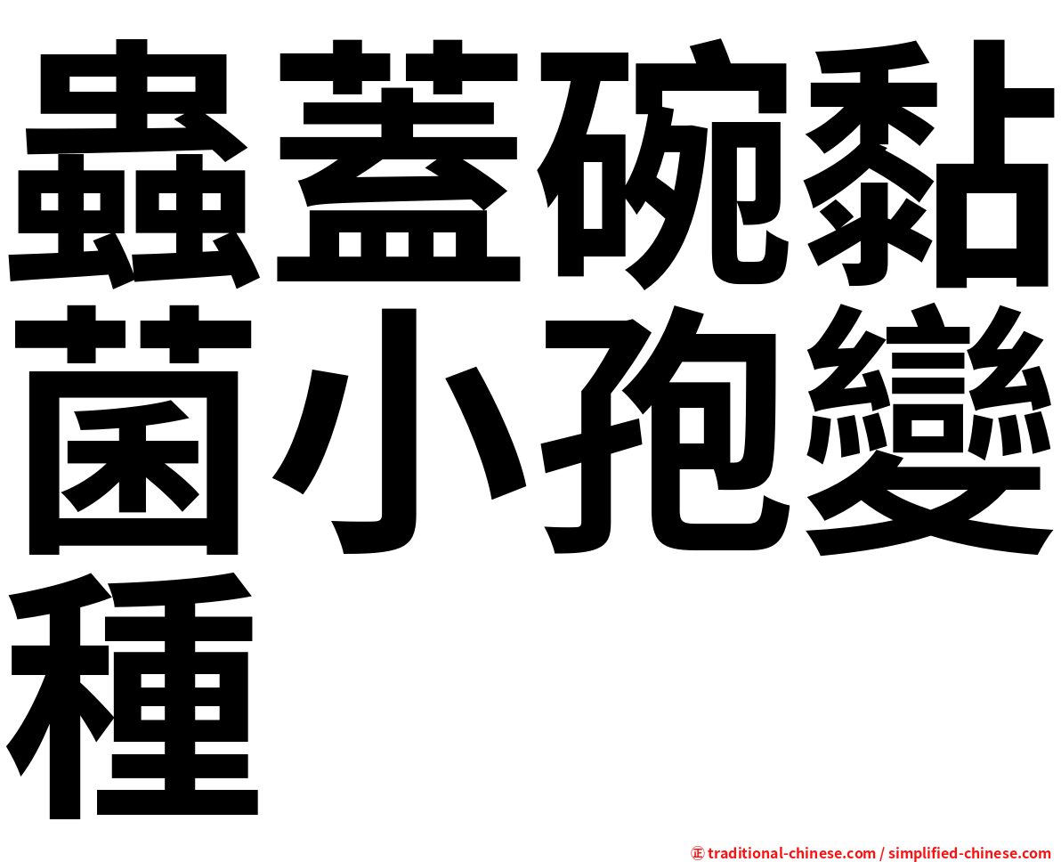 蟲蓋碗黏菌小孢變種