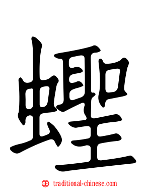 蟶