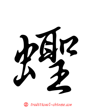 蟶