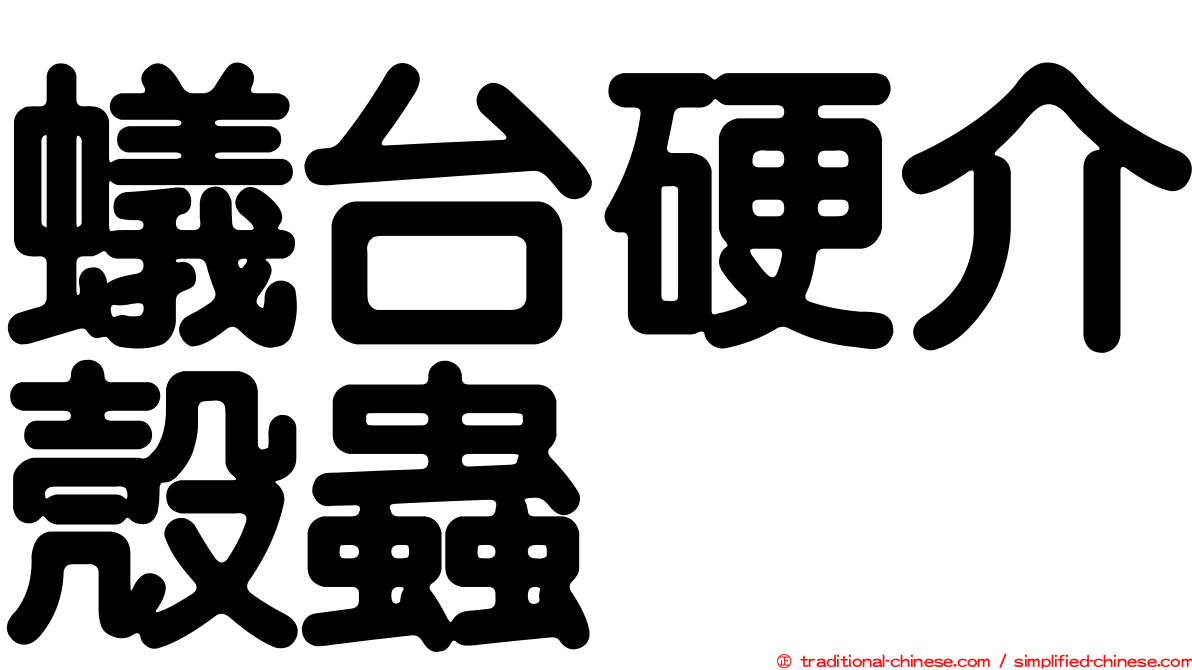 蟻台硬介殼蟲